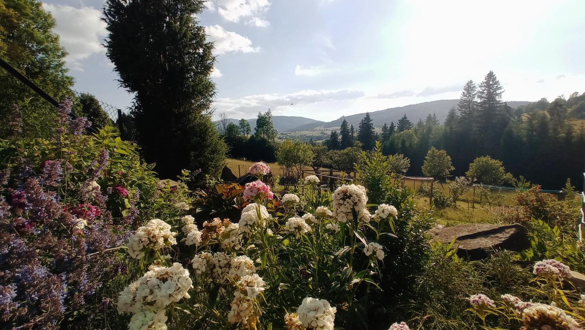 Agroturystyka "Na Polanie" Rajcza Exterior foto